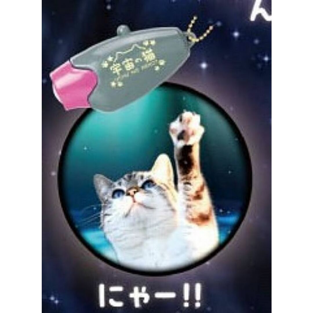 【にゃー!!】宇宙の猫ライト エンタメ/ホビーのアニメグッズ(その他)の商品写真