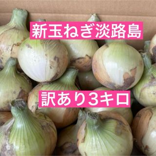 新玉ねぎ淡路島　訳あり３キロ(野菜)