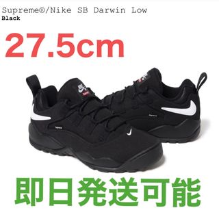 Supreme - 24SS Supreme Nike SB Darwin Low 27.5cm