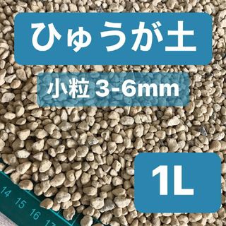 ひゅうが土 小粒 1L 日向土 観葉植物 コーデックス 多肉植物 サボテン(プランター)