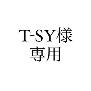 T-SY様専用(その他)