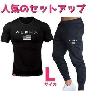 Tシャツ×スウェットジョガーパンツ　セットアップ　メンズジムウェアLサイズ黒×黒(Tシャツ/カットソー(半袖/袖なし))