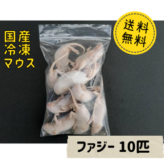 国産冷凍マウス ファジー 10匹 (地域限定送料無料)(爬虫類/両生類用品)