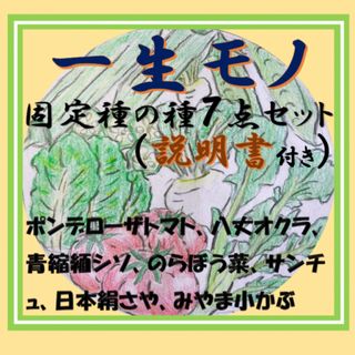 一生モノ、固定種の種〜7点セット〜【説明書付き&匿名配送】(野菜の種)(野菜)