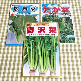 漬け物に 野菜の種 お裾分け  広島菜・たかな・野沢菜 各40粒＋α (野菜)
