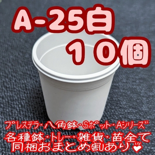 プラ鉢【A-25】10個 スリット鉢 丸 プレステラ 多肉植物(プランター)