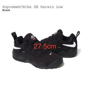 Supreme - Supreme Nike SB Darwin Low エスビー ダーウィン