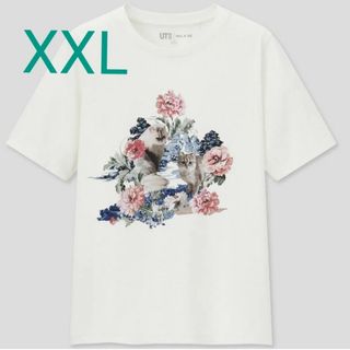 ポールアンドジョー(PAUL & JOE)の新品未使用タグ付き　ポール&ジョー　Tシャツ　ユニクロコラボ　XXL(Tシャツ(半袖/袖なし))