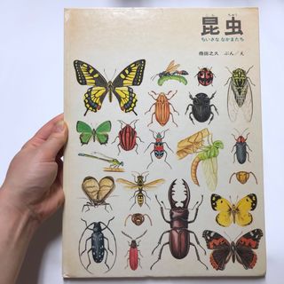 昆虫　ちいさななかまたち　得田之久　福音館書店