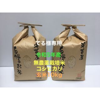 てる様専用 無農薬コシヒカリ玄米10kg 令和5年産(米/穀物)