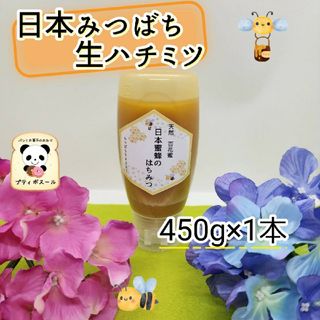 日本蜜蜂　蜂蜜　450g×１　絞り蜜(調味料)