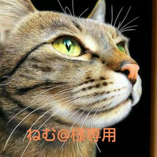 ロイヤルカナン　おねだりの多い成猫用　と　食事にこだわり　味わい・食感で食欲刺激(ペットフード)