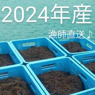 2024年産漁師直送♪太くて長～い屋我地の太もずく1kg（500g×2個)送料無(野菜)