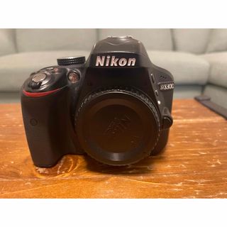 ニコン(Nikon)のNikon D3300(デジタル一眼)