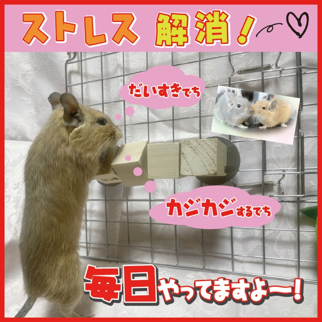 カラカラキューブ【3個ver】デグー　チンチラ　おもちゃ その他のペット用品(小動物)の商品写真