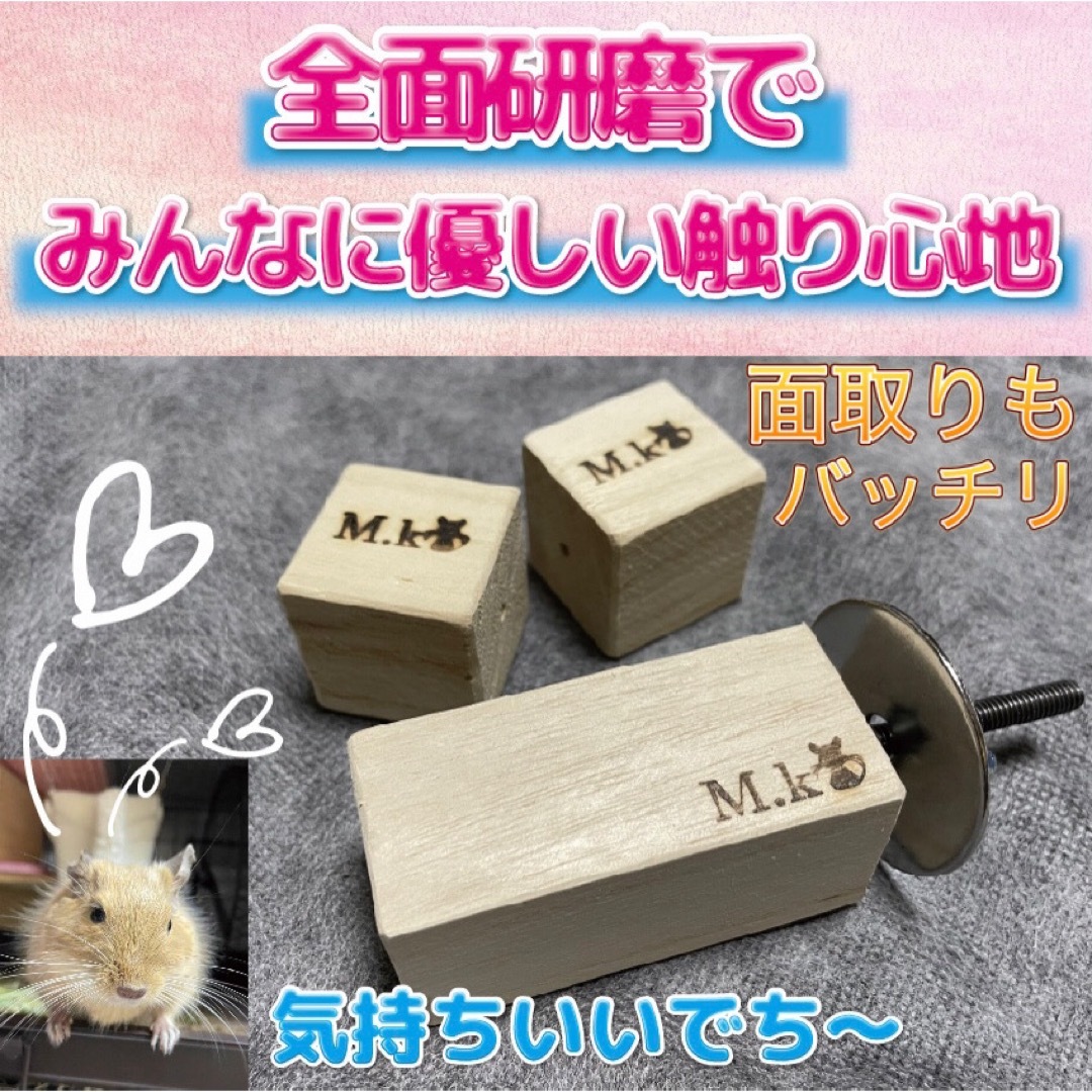 カラカラキューブ【3個ver】デグー　チンチラ　おもちゃ その他のペット用品(小動物)の商品写真