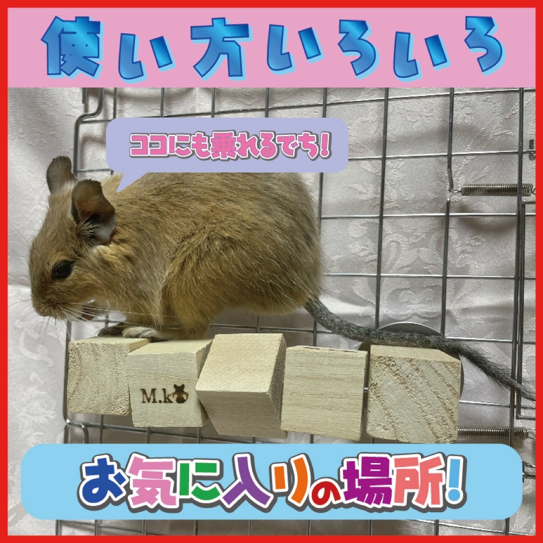 カラカラキューブ【2個ver】デグー　チンチラ　おもちゃ その他のペット用品(小動物)の商品写真