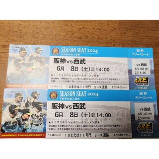ハンシンタイガース(阪神タイガース)の阪神vs西武 ブリーズシートペアチケット(野球)