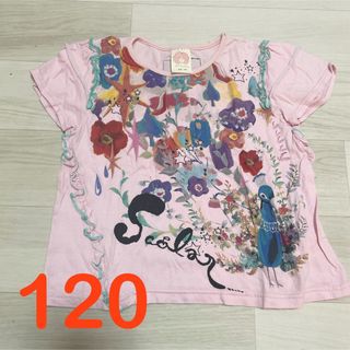 ScoLar - スカラー　女の子半袖ピンクTシャツ　くじゃく