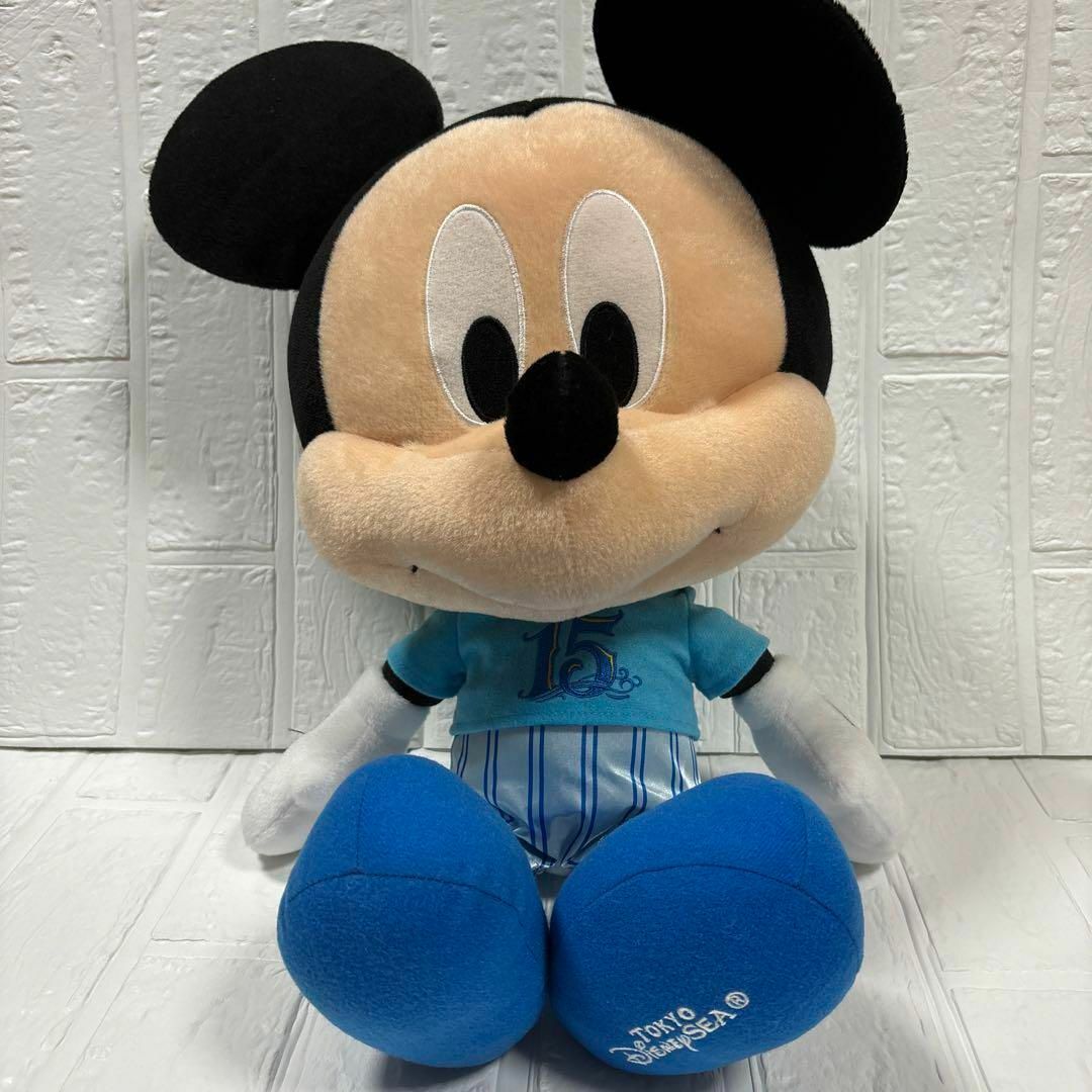 【非売品✨】ディズニーシー 15th アブーズバザール ぬいぐるみ エンタメ/ホビーのおもちゃ/ぬいぐるみ(ぬいぐるみ)の商品写真