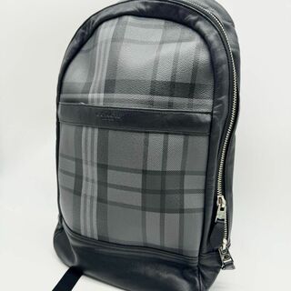 コーチ(COACH)の【極美品✨】COACH コーチ  F54139 チェック柄 リュック デイパック(バッグパック/リュック)