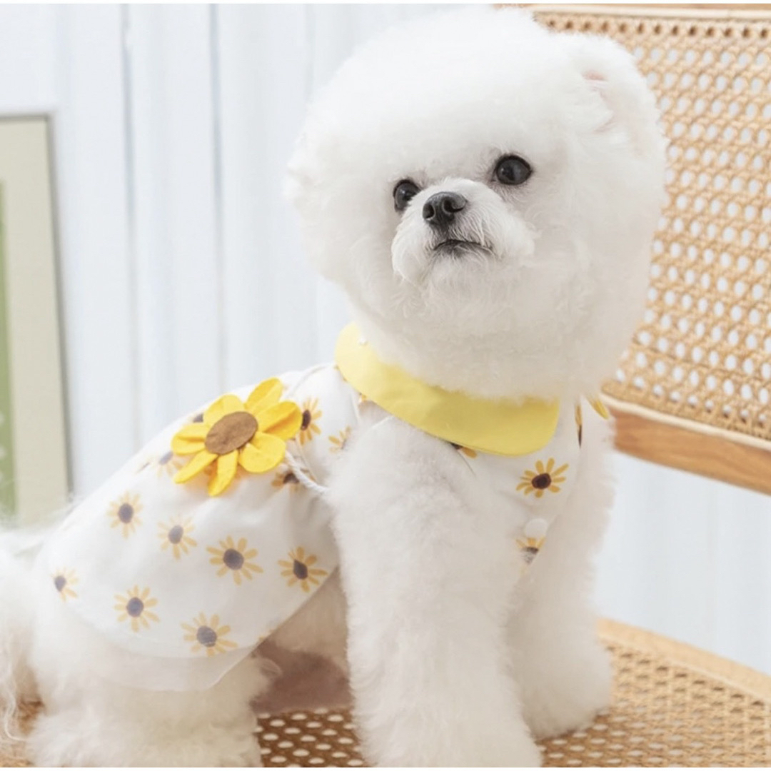 新品 犬服 ひまわり フリル ワンピース 花柄 小型犬 黄色 白 XXL その他のペット用品(犬)の商品写真