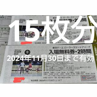 15枚*2024年11月30日まで有効 東京ドームシティ　ローラースケート(遊園地/テーマパーク)