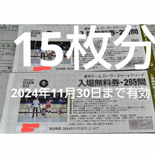 15枚*2024年11月30日まで有効 東京ドームシティ　ローラースケート(遊園地/テーマパーク)