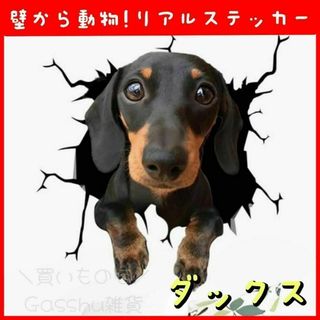 ミニチュアダックスフンド ステッカー 犬 面白い 傷隠し 飛び出す 車 シール(その他)