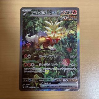 ポケモン - 【美品】　ポケモンカード　ポケカ　ウガツホムラex sar