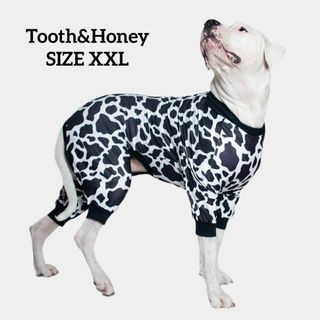 犬　ワンちゃん　服★パジャマ ★日本非売品 Tooth&Honey　XXL(犬)