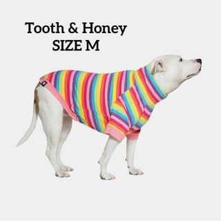 犬★服★シャツ　ワンちゃん　 輸入品★日本非売品 Tooth&Honey　M(犬)