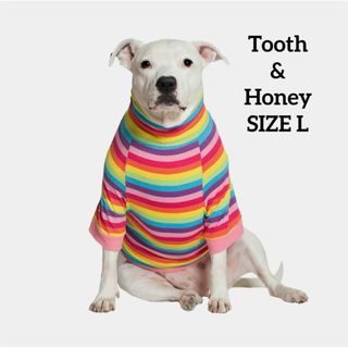 犬★服★シャツ　ワンちゃん　 輸入品★日本非売品 Tooth&Honey　L(犬)