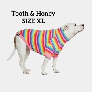 犬★服★シャツ　ワンちゃん　 輸入品★日本非売品 Tooth&Honey　XL(犬)