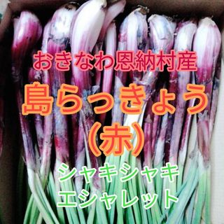 島らっきょう（赤）500g無農薬(野菜)