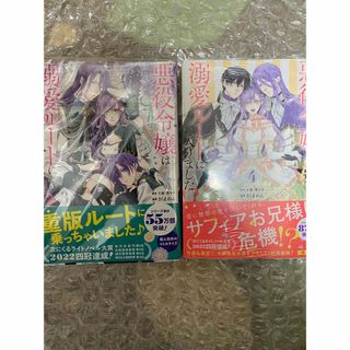 悪役令嬢は溺愛ルートに入りました！？　3巻　4巻　セット