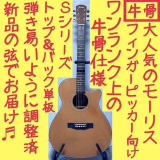 【牛骨】MORRIS！モーリス！少し小ぶり！S-30【弾き易く調整☆新品弦】(アコースティックギター)