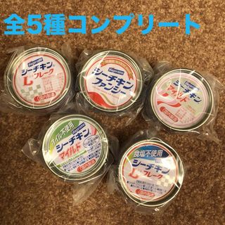 シーチキン　メモ缶コレクション　全5種(ノート/メモ帳/ふせん)