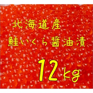 送料込み！北海道産 鮭いくら醤油漬 12kg(魚介)