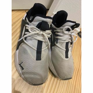 プーマ(PUMA)のプーマ  靴　(その他)