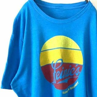 Leinics サマー シャンディ Tシャツ ライトブルー 水色 古着(Tシャツ/カットソー(半袖/袖なし))