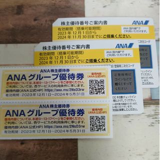 エーエヌエー(ゼンニッポンクウユ)(ANA(全日本空輸))のANA株主優待券2枚　全日本空輸　全日空　ANA　優待券(その他)