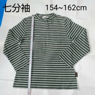 七分袖 グリーンのボーダーTシャツ カットソー ロンT 150cm 160cm(Tシャツ/カットソー)