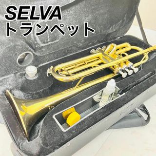 SELVA トランペット　管楽器　初心者　ゴールドラッカー　入門　やさしい(トランペット)