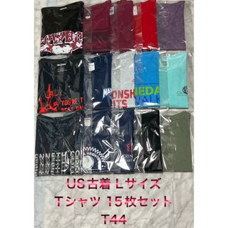 USA アメリカ古着 Lサイズ ビンテージTシャツ15枚セット まとめ売り超特価