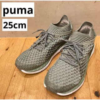 プーマ(PUMA)のPUMA プーマ　スピード イグナイト NETFIT 2 レディース　スニーカー(スニーカー)