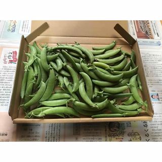 無農薬、スナップエンドウ　スナップえんどう　エンドウ　えんどう　野菜(野菜)