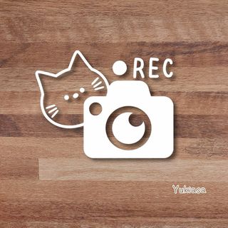 カーステッカー ドラレコ ドライブレコーダー　ねこ　REC カーサイン　ネコ　猫(車外アクセサリ)