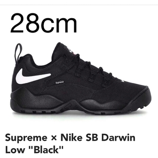 シュプリーム(Supreme)の28cm Supreme Nike SB Darwin Low(スニーカー)