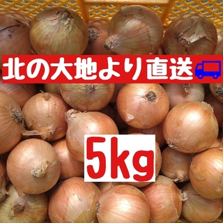 産地直送　北海道産玉ねぎ5kg(Ｌ大)(野菜)